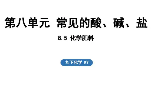 2025年春新科粤版九年级化学下册8.5 化学肥料(课件)