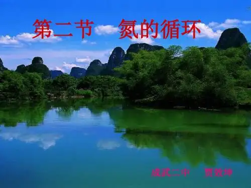 高中化学氮的循环12 鲁科版