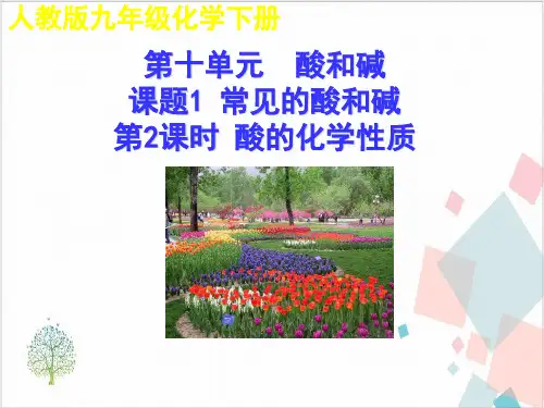人教版《常见的酸和碱》_PPT-优秀版