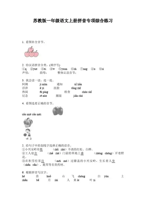 苏教版一年级语文上册拼音专项综合练习