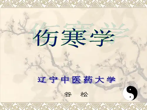 太阳病本证-