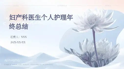 妇产科医生个人护理年终总结PPT