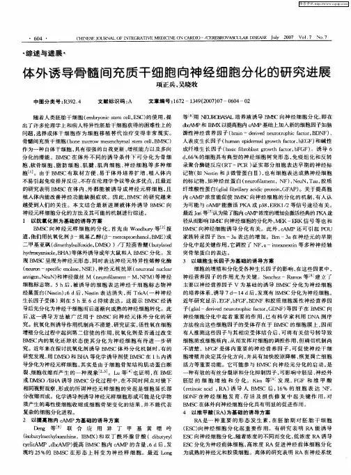 体外诱导骨髓间充质干细胞向神经细胞分化的研究进展