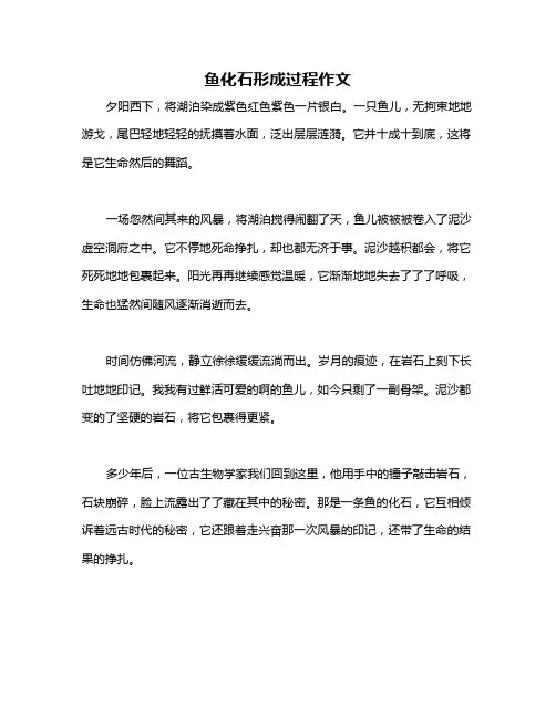 鱼化石形成过程作文