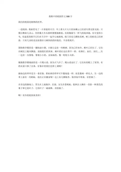 我眼中的校园作文500字