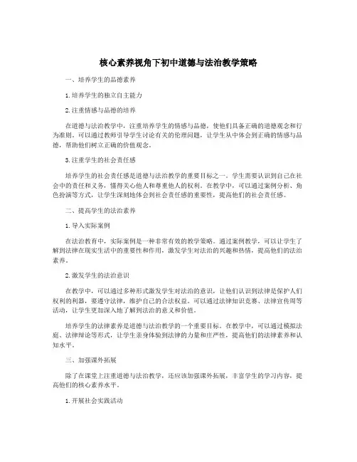 核心素养视角下初中道德与法治教学策略