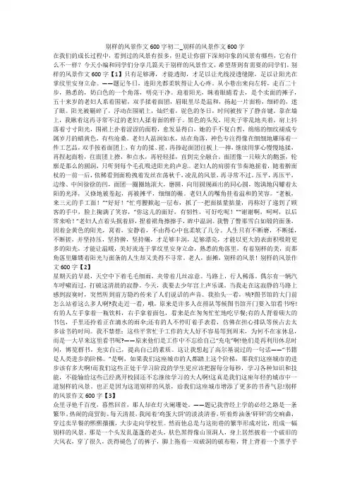 别样的风景作文600字初二_别样的风景作文600字 