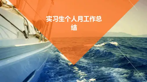 实习生个人月工作总结PPT