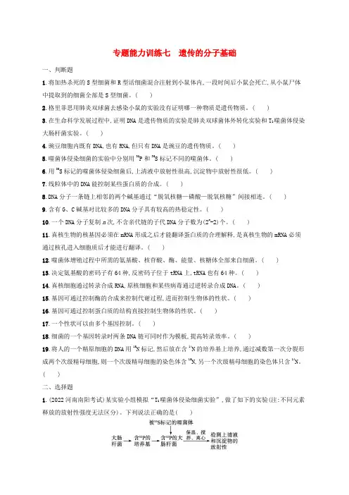 适用于老高考旧教材广西专版2023届高考生物二轮总复习专题能力训练七遗传的分子基础
