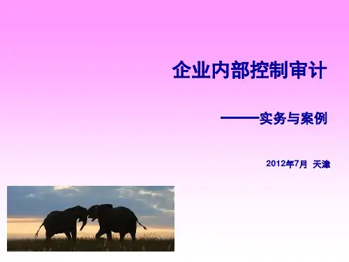 企业内部控制审计实务与案例(ppt 188页)