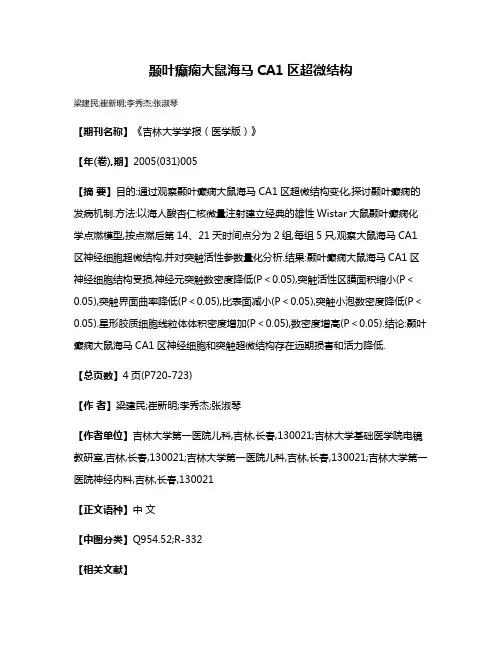 颞叶癫痫大鼠海马CA1区超微结构