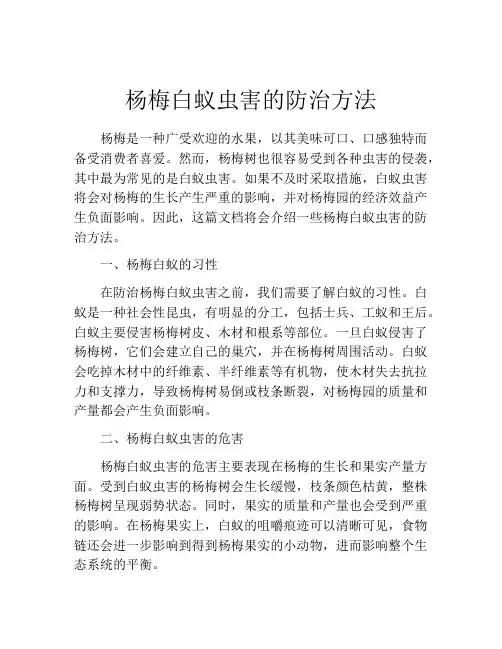 杨梅白蚁虫害的防治方法