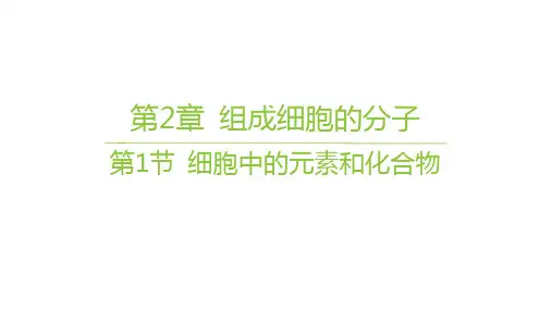 人教版高中生物学必修1精品课件 第2章 组成细胞的分子 第1节 细胞中的元素和化合物 (6)