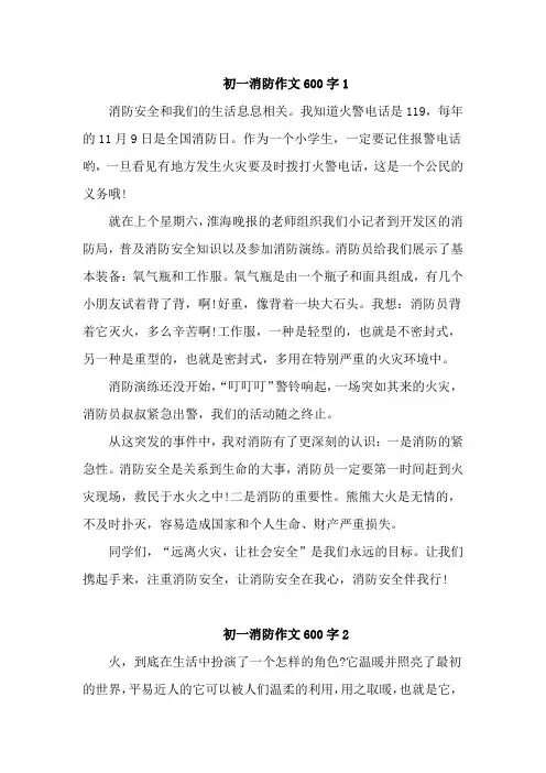 初一消防作文600字4 篇