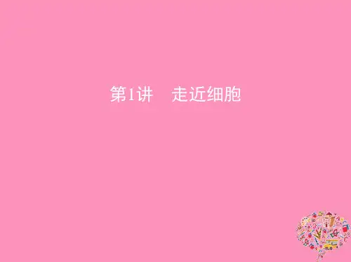 2020版高考生物一轮复习第1讲走近细胞课件