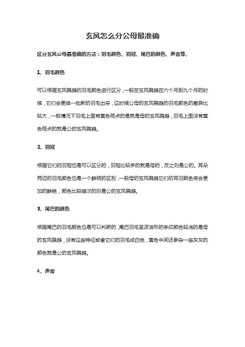 玄凤怎么分公母最准确