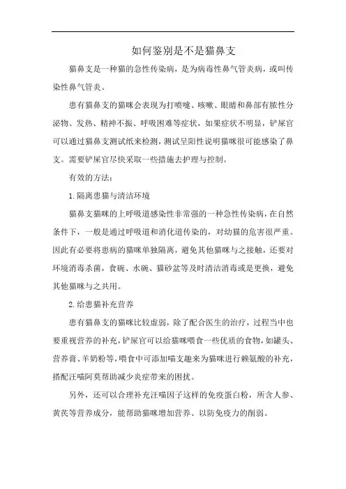 如何鉴别是不是猫鼻支