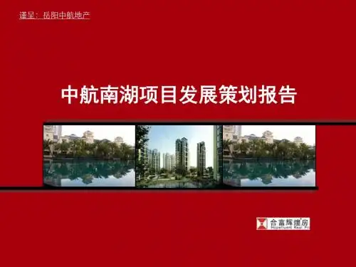 合富辉煌岳阳中航南湖的项目发展的的策划的报告2