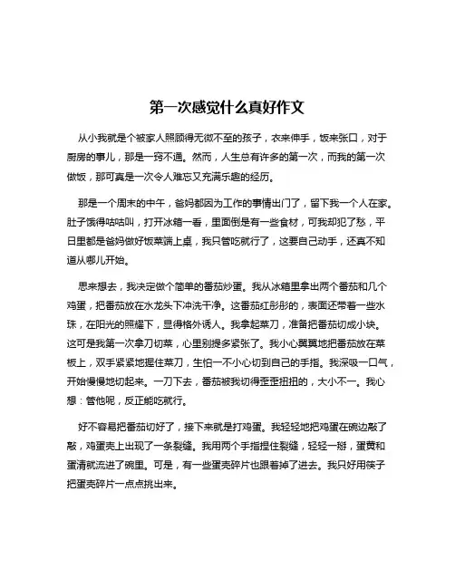 第一次感觉什么真好作文