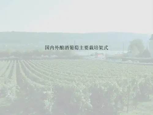 国内外酿酒葡萄主要栽培架式