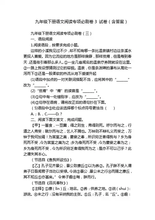 九年级下册语文阅读专项必刷卷3 试卷(含答案)