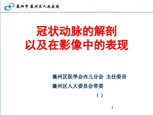 冠状动脉解剖以及在影像中的表现ppt课件