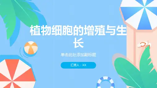 植物细胞的增殖与生长