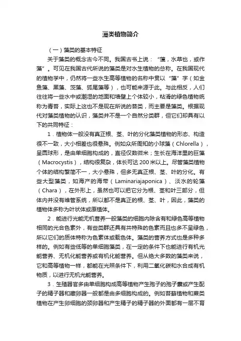 藻类植物简介
