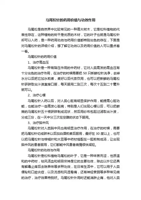 马尾松针的药用价值与功效作用