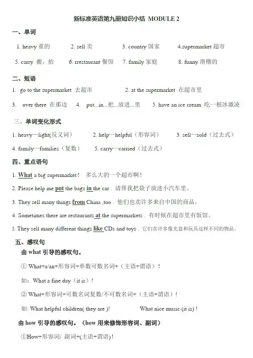 新标准英语第九册知识