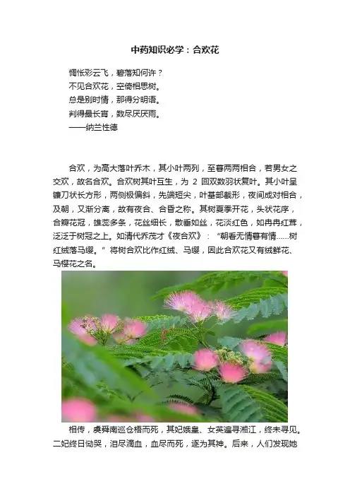 中药知识必学：合欢花