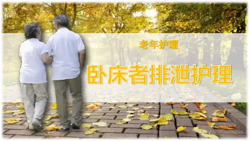 卧床老人排泄护理.pptx