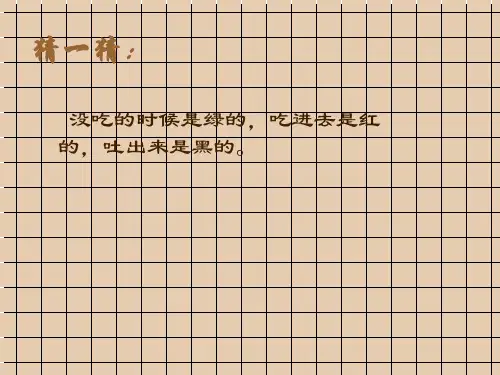 一年级下美术课程《各式各样的水果》课件
