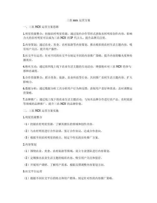 三农mcn运营方案