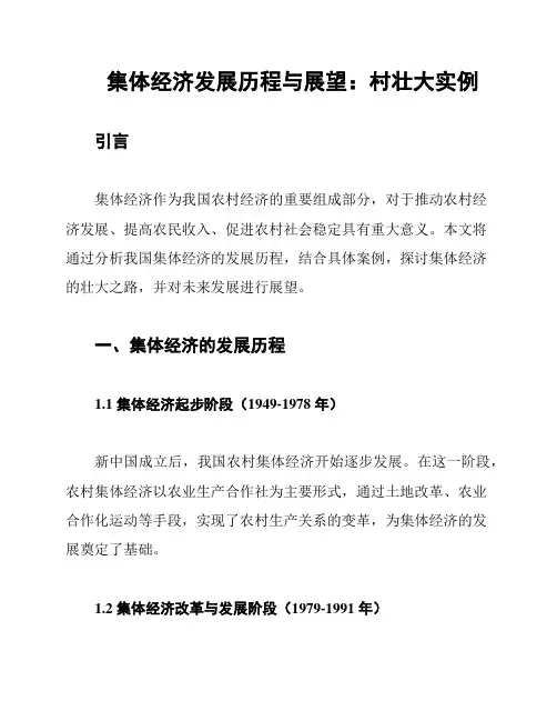 集体经济发展历程与展望：村壮大实例