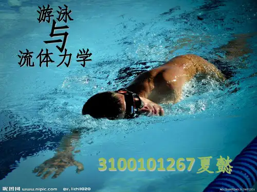游泳与流体力学