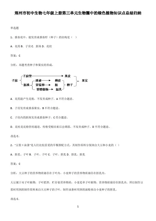郑州市初中生物七年级上册第三单元生物圈中的绿色植物知识点总结归纳
