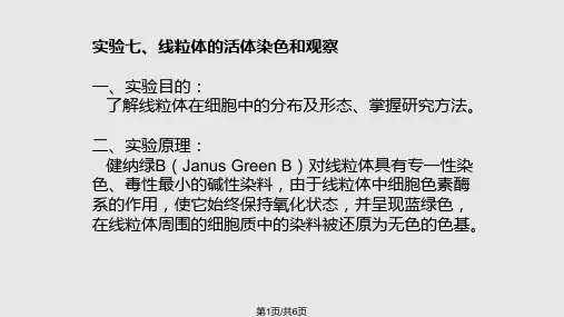 实验六 线粒体的活体染色和观察PPT课件
