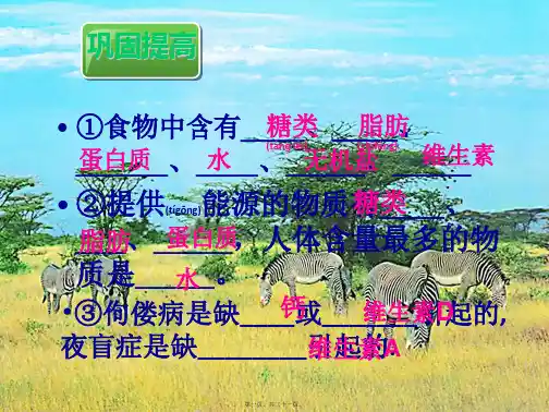 七年级生物下册 第二章 第二节 消化和吸收课件 