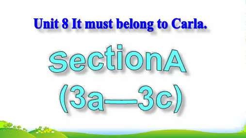 人教版英语九全Unit 8 Section A(3a-3c) 教学课件(共24张PPT)