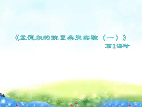 高中生物人教版必修二第一章第一节：《孟德尔的豌豆杂交实验》课件 公开课获奖课件