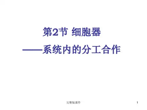 生物必修一细胞器ppt课件