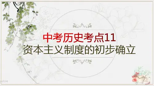 中考历史考点11---资本主义制度的初步确立(部编版)