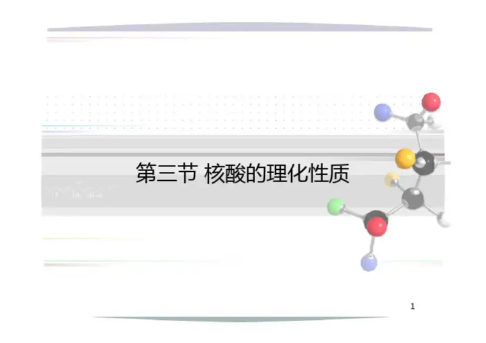 核酸的理化性质