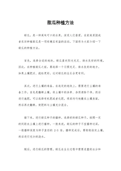 甜瓜种植方法
