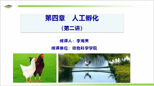 第四章 人工孵化(第二讲2020)
