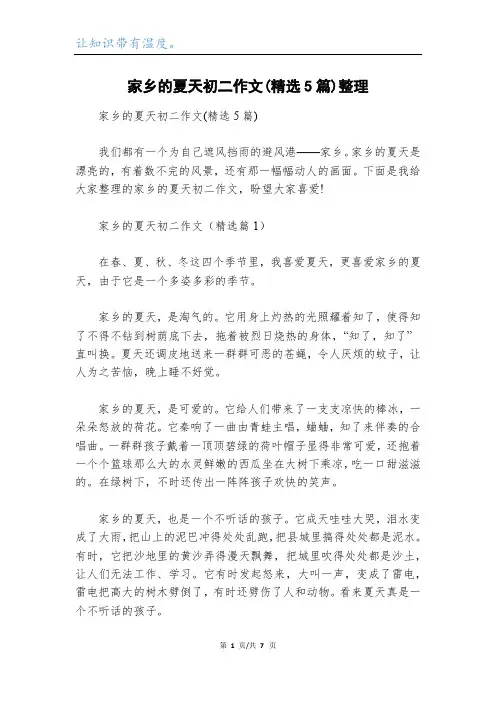 家乡的夏天初二作文(精选5篇)整理
