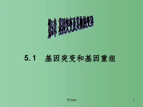 (新课标)高中生物 第5章第1节《基因突变和基因重组》课件25 新人教版必修2