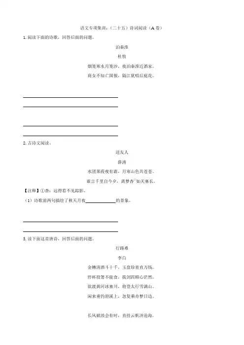 中考语文专项集训25诗词阅读(A卷)