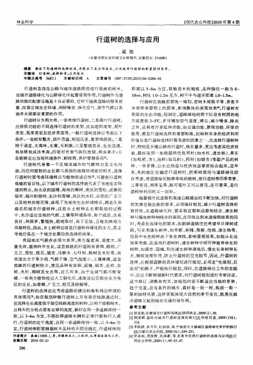 行道树的选择与应用